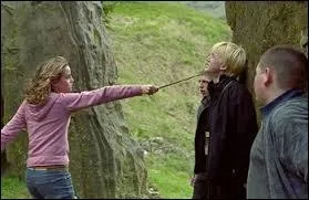 De quoi traite-t-il Hermione Granger ?