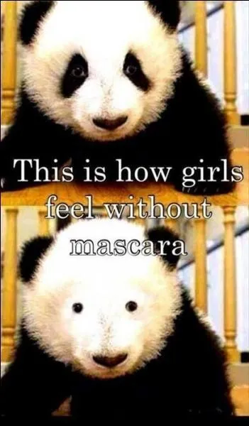 Que c'est bien vu, et que c'est mignon. La traduction dit "voilà à quoi ressemblent les filles sans.... ?"