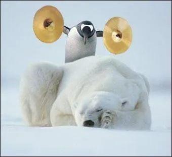 Cette image est connue mais si drôle, car on imagine très bien la situation de l'un et de l'autre. Si l'on devait rapprocher le pingouin d'un comique français, il serait plutôt ?