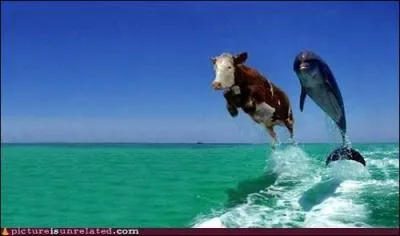 C'est drôle et si poétique ! On peut parler ici de l'art... ?