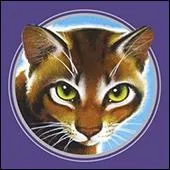 Comment s'appelle le chef du Clan de la Rivière ?