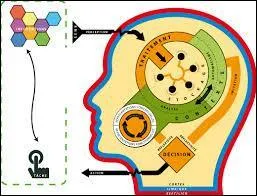 Dites-moi « apprendre » en allemand.