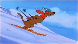 En hiver, Scooby-Doo adore faire...