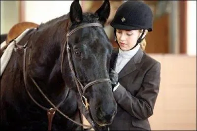 Quel est ce cheval ?