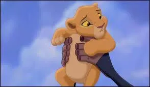 Quelles personnes sont chargées de la surveiller ?