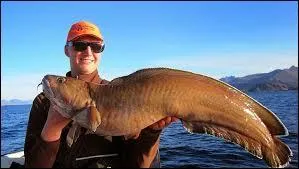 Jimmy a le sourire, il vient de pêcher un...