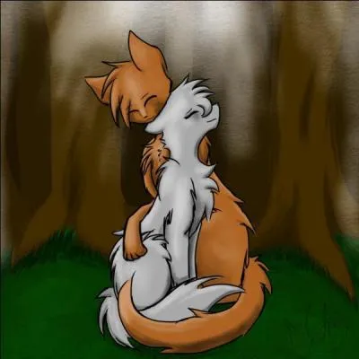 De qui Museau Cendré est-elle tombée amoureuse ?