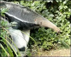 Au final, combien de petits naissent ?