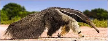 O&ugrave; ne le trouverez-vous pas ?