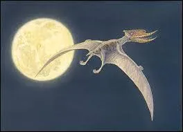 Que mangeait-il en grande quantité ?