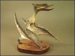 Quelle était grosso modo son envergure ?