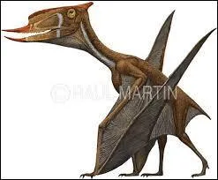 Qu'en est-il de son poids maximal ?