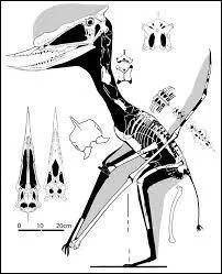 Quelle est la signification de son nom ?
