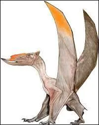 En moyenne, quelle était sa longueur ?