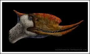 Où cet animal a-t-il une crête ?