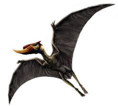 Quiz Dinosaures