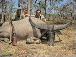 Combien mesure-t-il au maximum ? (hauteur)