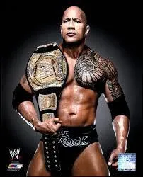 Quand le public l'a-t-il découvert ?