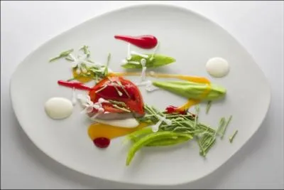 Qui a mis en vogue la nouvelle cuisine en 1972, afin de remplacer la cuisine bourgeoise de la gastronomie ?