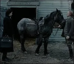 Le cheval d'Ichabod Crane dans "Sleepy Hollow" était, après le tournage, destiné à...