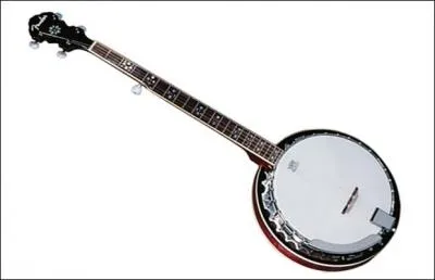 Quel est cet instrument de musique ?