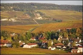 Situé au cur de la vallée du Darcy, Moslins est un village Marnais situé en région ...
