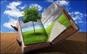 Qui a dit : "La vie est un myst&egrave;re qu'il faut vivre, et non un probl&egrave;me &agrave; r&eacute;soudre." ?