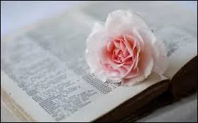 Lequel de ces hommes a dit : "La r&egrave;gle d'or de la conduite est la tol&eacute;rance mutuelle, car nous ne penserons jamais tous de la m&ecirc;me fa&ccedil;on, nous ne verrons qu'une partie de la v&eacute;rit&eacute; et sous des angles diff&eacute;rents." ?