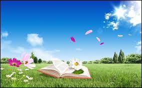 Quiz Citations
