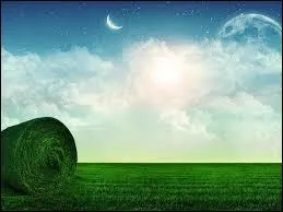 Quel philosophe a dit : "Nos jeunes aiment le luxe, ont de mauvaises manières, se moquent de l'autorité et n'ont aucun respect pour l'âge. À notre époque, les enfants sont des tyrans." ?