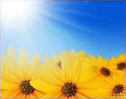 Laquelle de ces femmes a dit : "Le secret du bonheur en amour, ce n'est pas d'être aveugle mais de savoir fermer les yeux quand il le faut." ?