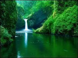 Lequel a dit cela : "Les jaloux sont comme les fous et les ivrognes, ils ne se rendent jamais compte de leurs souffrances. La jalousie provient d'un manque de confiance non pas envers l'autre, mais envers soi-même." ?