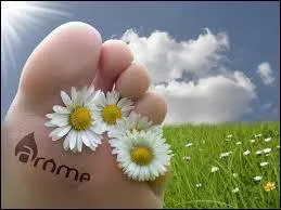 Qui est l'auteur de cette phrase : "Tout obstacle renforce la détermination. Celui qui s'est fixé un but n'en change pas." ?