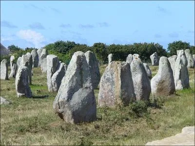 C'est à Carnac que vous pouvez admirer ces alignements de menhirs datant de la fin du Néolithique. Dans quel département breton se trouve Carnac ?
