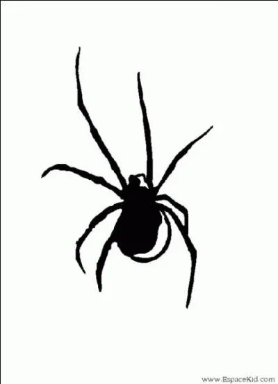 Dites-moi « l'araignée ».