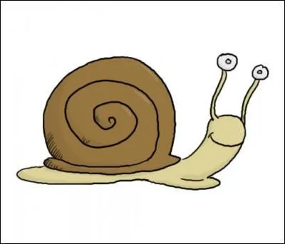 Quel animal se traduit par le même terme ?