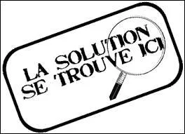 C'est sa vie, ___ problèmes, son ressenti.