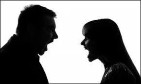 ___ disputes sont stupides.