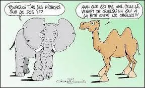 Ce sont ___ affaires, laisse-la tranquille.