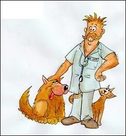 Et enfin, « le vétérinaire » se traduit par...