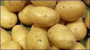 À présent, dites-moi « la pomme de terre » !