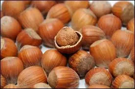 Comment dit-on « la noisette » ?