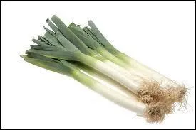 Dites-moi « le poireau » en allemand !