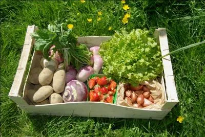 Dans une ferme, nous sommes allés...