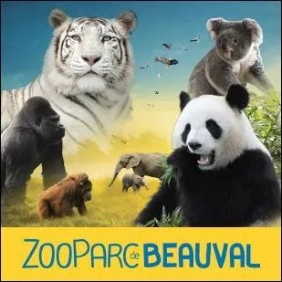 Si nous partons trois jours en camping, c'est pour visiter le zoo de Beauval. Dans quel département français se trouve ce magnifique zoo ?