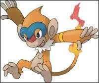 Dans Pokémon, quelle est l'évolution de Ouisticram ?