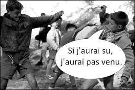 Ce célèbre roman de Louis Pergaud, publié en 1912, donna lieu à de maintes adaptations cinématographiques. Il s'intitule : "La Guerre des ..."