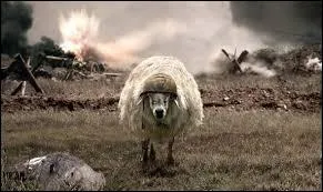 Lors de quel conflit a-t-on employé le terme de "drôle de guerre", en raison de l'absence de combats sur une période de plusieurs mois ?