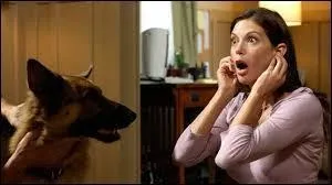 Épisode 2 : Premier round - Avec qui Susan décroche-t-elle un dîner ?