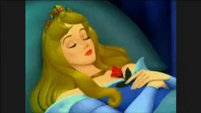 Lors d'une crise du très rare syndrome de la Belle au bois dormant, ou syndrome de Kleine-Levin, je dors presque constamment. Je me lève seulement pour manger, me laver et faire mes besoins, mais en étant totalement à l'ouest et ne me souvenant de rien en sortant de cet état qui a duré :